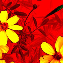 免费轰炸电话软件